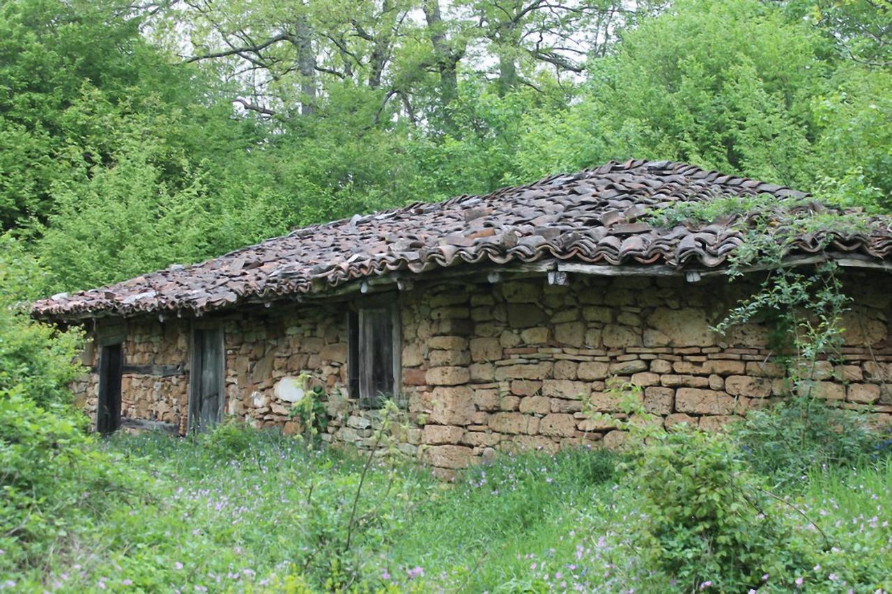 Hunting Residence Asteya Gramatikovo Экстерьер фото